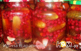 Маринованные огурчики с ягодами красной смородины