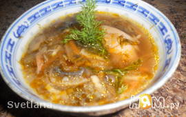 Куриный суп с грибами (венгерская кухня)